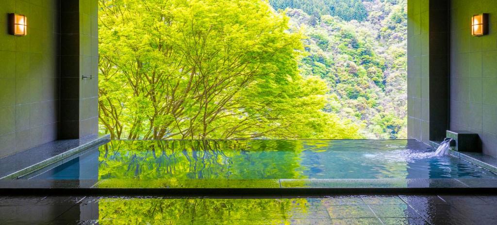 Iya Onsen ryokan Tokushima Miyoshi 4