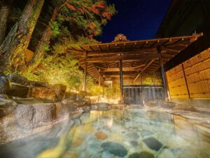 Ooedo Onsen Monogatari Terunoyu