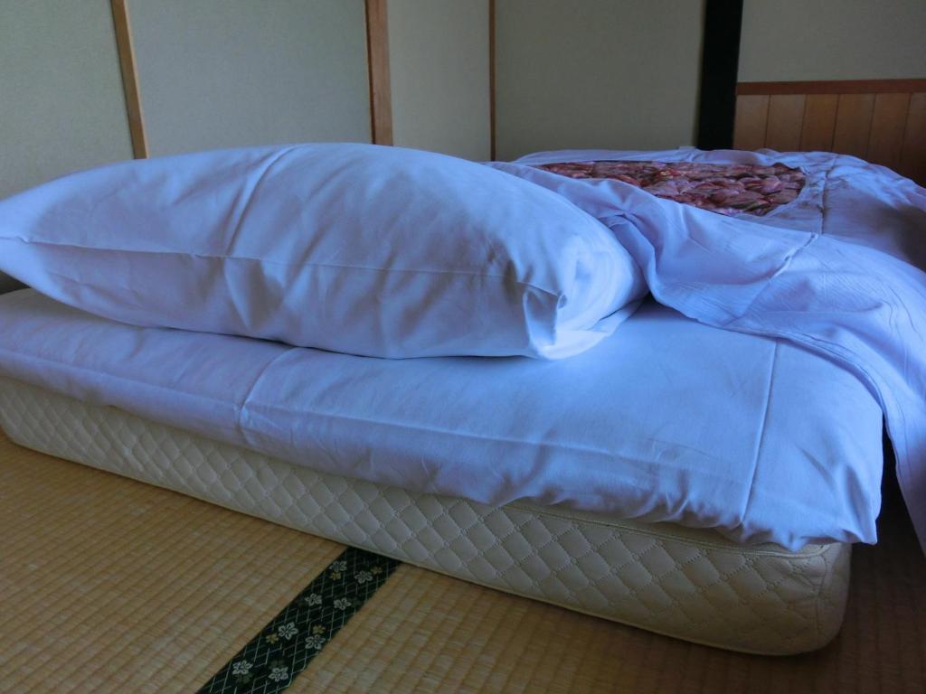Tajimaya ryokan Gifu Nakatsugawa 1