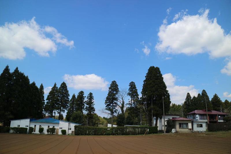 Hotel Otani