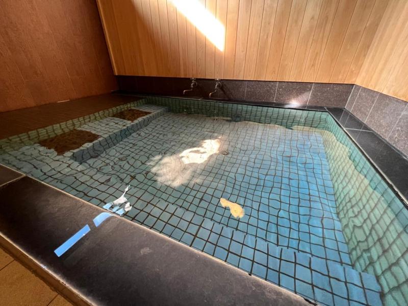 Japanese style hotel Morigen