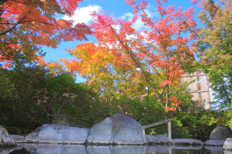 Kasuga no Mori