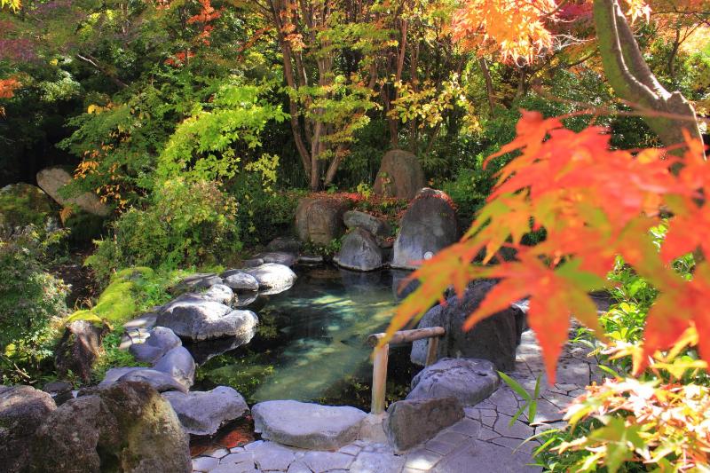 Kasuga no Mori