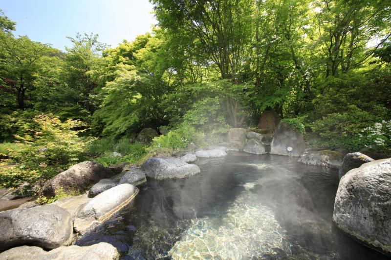 Kasuga no Mori
