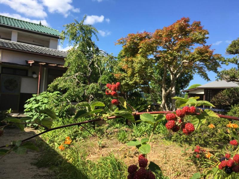 Masugataya Ryokan