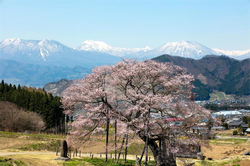Ryokan Warabino