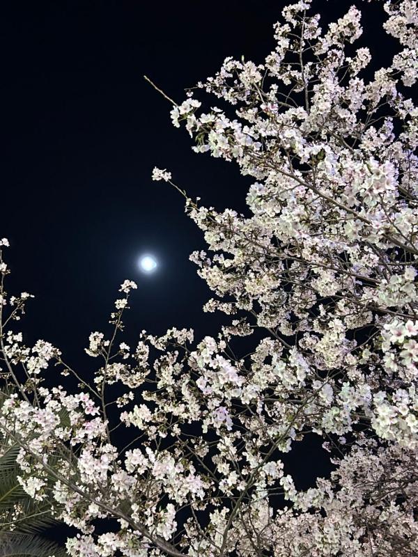 Ryoso Chatani