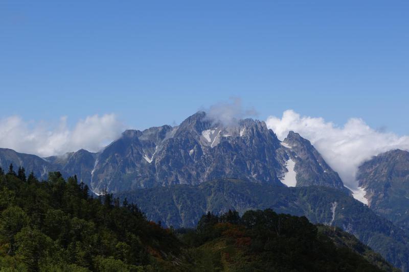 Schole Hakuba