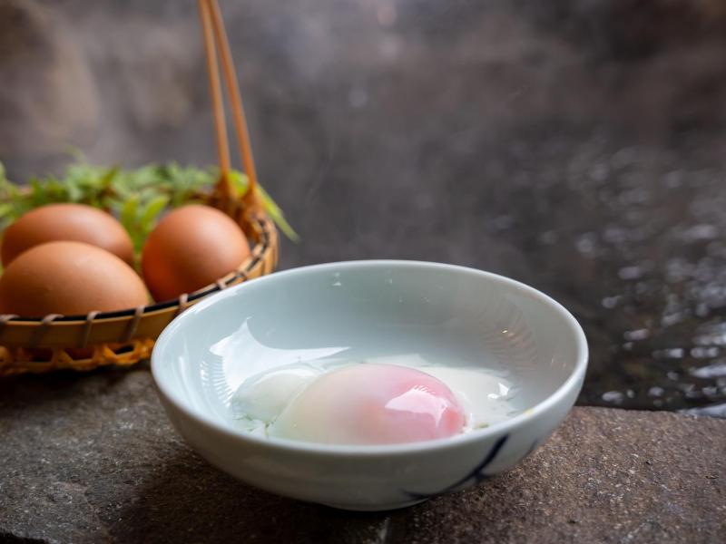 Shiobara Onsen Yashio Lodge