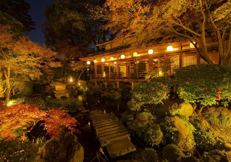 Shiragiku