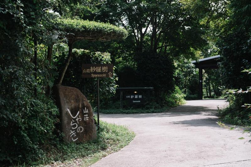 Syaranoki