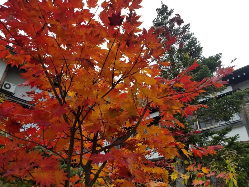 Tsuta Onsen Ryokan