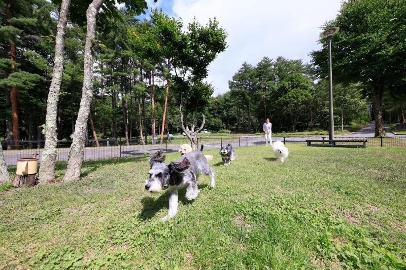 Yutorelo Tateshina Hotel with DOGS