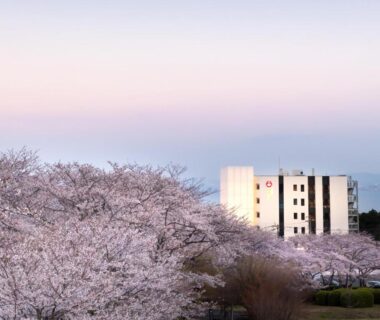 Cherry blossom trees in foreground with Akarinoyado Togetsu building in Ōita, Kyūshū at dusk