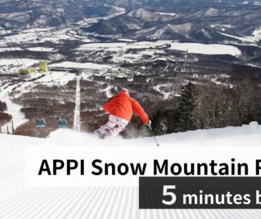Skier descending snowy slope above valley near Appikogen Mori no Hotel, Iwate