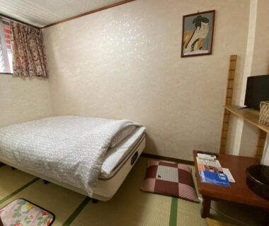Tatami room with single bed, low table, cushions and TV at Asakusa Ryokan Toukaisou Tokyo