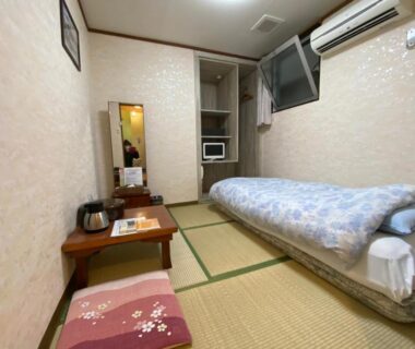 Compact tatami room with single futon, low table, zabuton cushion, TV and kettle at Asakusa Ryokan Toukaisou in Tokyo