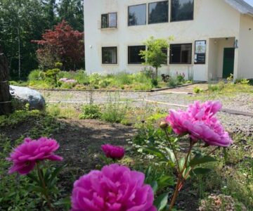 Auberge Ninguruforet