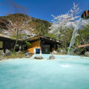 Milky turquoise outdoor onsen at Awanoyu with wooden spout, rock edge, traditional buildings and blossoming tree in Nagano