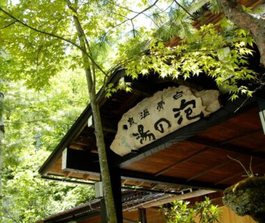 Wooden ryokan entrance sign beneath a leafy canopy at Awanoyu in Nagano, Chūbu