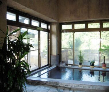 Indoor stone bath with potted plants and large windows at Bergtour Marukita in Nagano, Chūbu, Japan