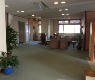 Carpeted ryokan lobby with seating area, potted plants, and shelving at Bergtour Marukita in Nagano