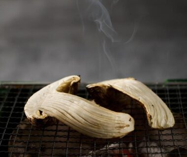 Mushrooms grilling over a wire grate with smoke at Bessho Onsen Midoriya, Nagano, Chūbu