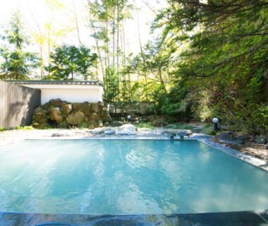 Outdoor stone-edged onsen surrounded by trees at Bourou NOGUCHI Noboribetsu, Hokkaido