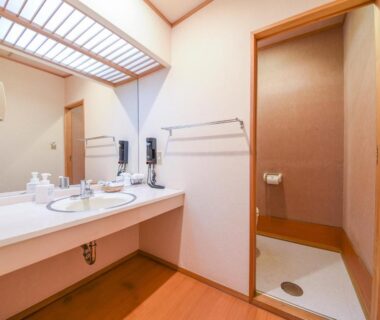Sink counter with dual basins, mirrors, and adjacent shower stall in Bousenkaku bathroom, Niigata
