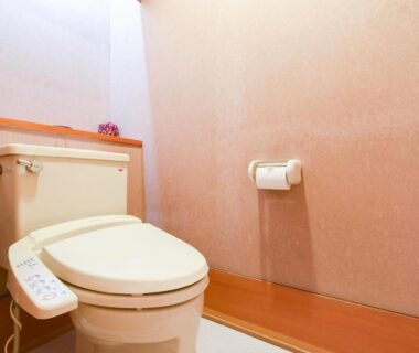 Electronic bidet toilet in Bousenkaku restroom, Niigata, Chūbu