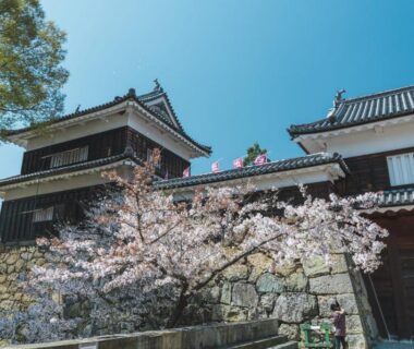 Traditional ryokan exterior with stone wall, tiled roofs and cherry blossoms at Bouzantei Kotobuki in Nagano