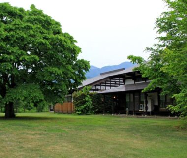 Expansive lawn with mature tree and traditional wooden ryokan building surrounded by greenery in Niigata