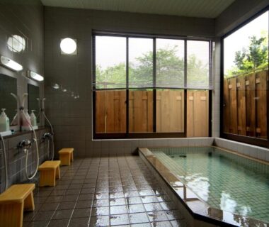 Tiled indoor onsen bath with shower stools and outside greenery at Bunanoyado Koase, Niigata, Chūbu