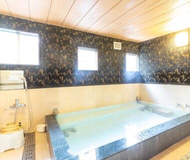 Communal indoor onsen with stone tub and wooden ceiling at Business Ryokan Akashiya Annex, Hyōgo, Kansai