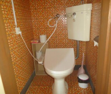 Small toilet cubicle with orange patterned tiles, shelf and wall-mounted cistern at Cafe Cerisier栖里時絵, Niigata
