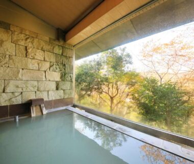 Indoor onsen bath with large glass window overlooking garden trees at Centurion Hakone Bettei, Kanagawa