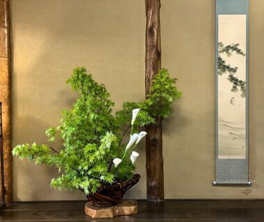 Ikebana arrangement and hanging scroll in a tokonoma at Charoku Bekkan, Kyoto