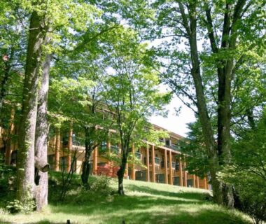 Building nestled among tall trees at Chuzenji Kanaya Hotel in Tochigi forest