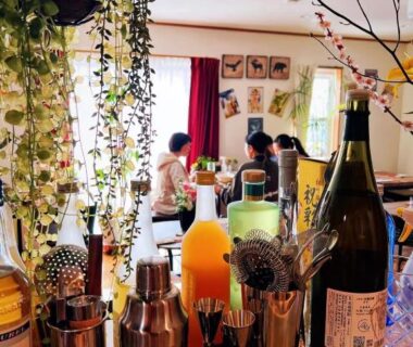 Bar counter with bottles, shakers and hanging plants at DP小山町Machida in Kantō Tokyo Japan