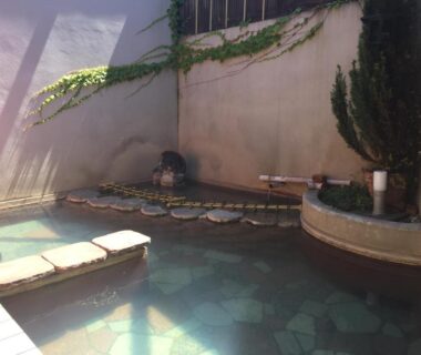 Small stone-lined onsen bath with bench and ivy wall at Daymaruya Ryokan, Nagano