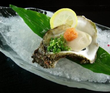 Oyster on crushed ice garnished with lemon and green onion at Donkairo, Hyōgo, Kansai