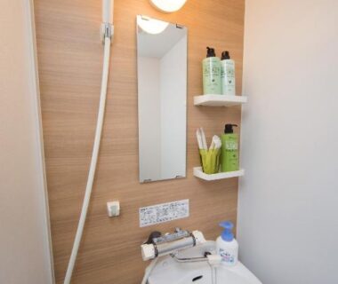 Compact shower and sink with mirror and toiletries at Ebisu Ryokan Kyoto