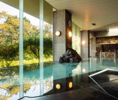 Indoor onsen bath with floor-to-ceiling windows overlooking lush greenery at Enakyo Onsen Hotel Yuzuriha, Gifu
