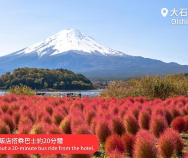 Mount Fuji behind red kochia bushes near Fujikawaguchiko Onsen Hotel Asafuji in Yamanashi