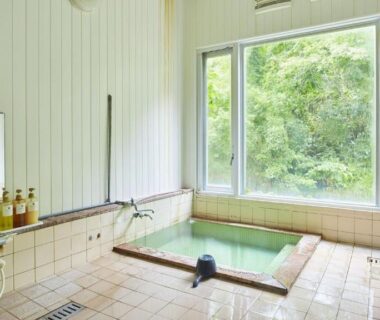 Tiled indoor onsen bath with wooden tub and large window overlooking forest greenery