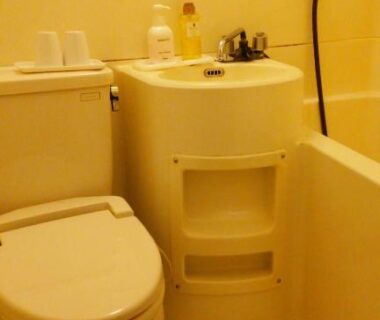 Compact Japanese unit bath with toilet, sink and hand shower at Gensenkan in Tochigi, Kantō