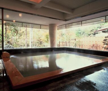 Indoor onsen bath with floor-to-ceiling windows and garden view at Gensenkan in Tochigi, Kantō, Japan
