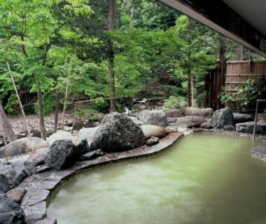 Stone-edged outdoor onsen bath with green water and surrounding trees at Gensenkan ryokan in Tochigi, Kantō