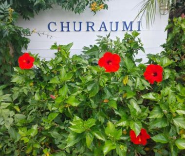 White Churaumi sign amid green foliage and red hibiscus flowers at Guest House Churaumi in Shizuoka
