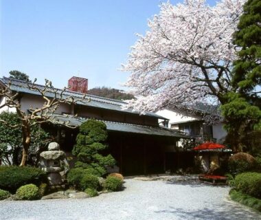 Ryokan entrance with blooming sakura tree, pruned evergreens, stone lantern and gravel courtyard in Kanagawa